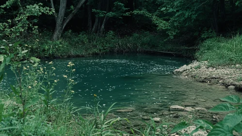 Serene Woodland Lake Scene