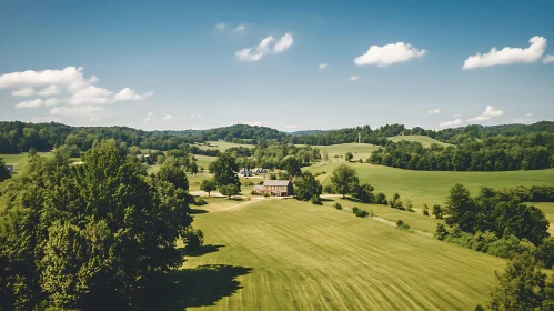 Lush Green Field Under a Sunny Sky