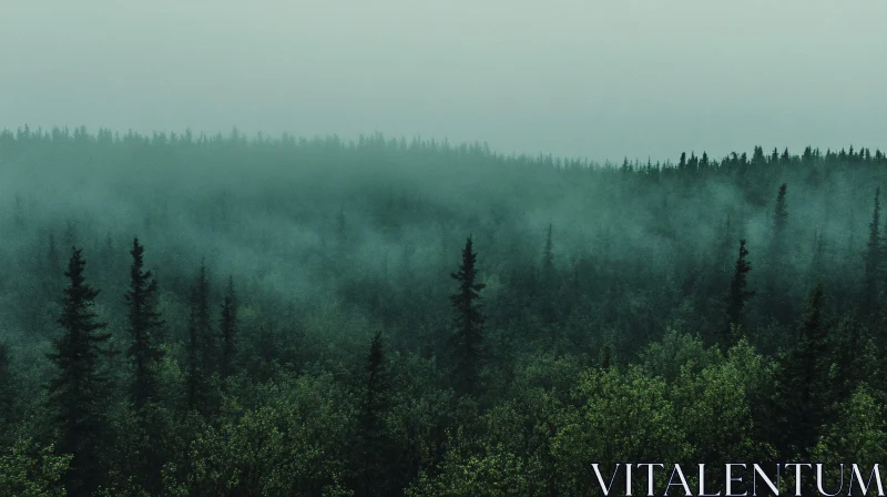 AI ART Foggy Green Forest Scene