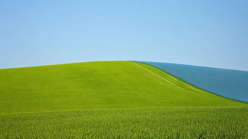 Serene Green Field Under Blue Sky