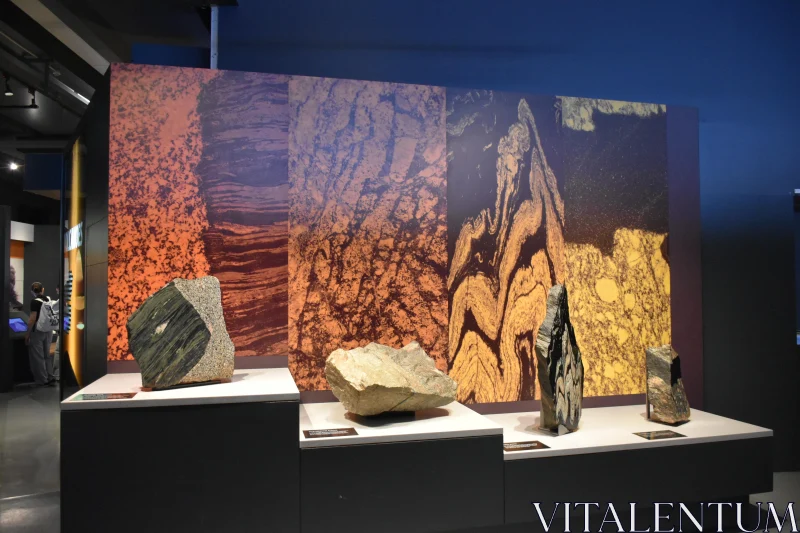 PHOTO Geological Marvels on Display at the Museum