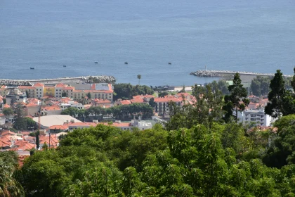 Madeira's Scenic Coastal Town View