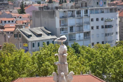 City Seagull on Stone Sculpture Free Stock Photo