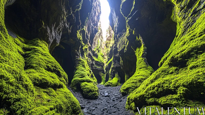 AI ART Luminous Mossy Cave