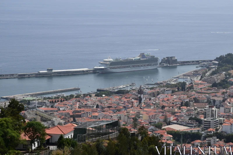 Funchal Harbor Cruise Ship Perspective Free Stock Photo