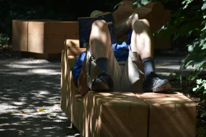 Leisurely Reading in Forest Light