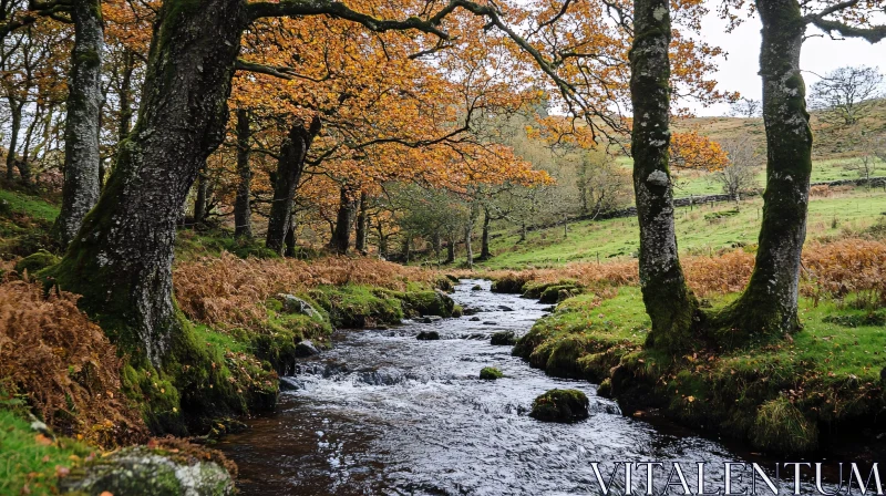 AI ART Serene Autumn Forest with Flowing Stream