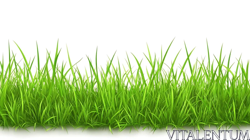 Vibrant Green Grass Isolated AI Image