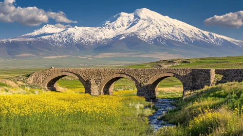 Mountain Landscape with Stone Bridge and Flowers