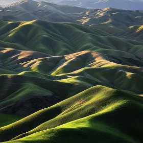 Green Hills in Sunlight