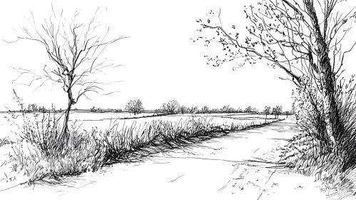 Black and White Countryside Illustration