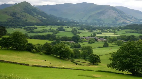 Rolling Hills and Valley Landscape