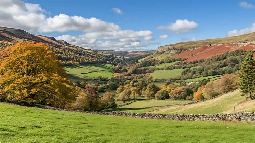 Autumnal Valley Landscape with Stone Wall