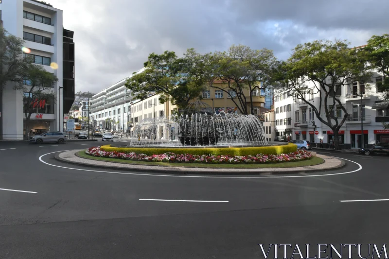 Scenic Madeira Fountain Free Stock Photo