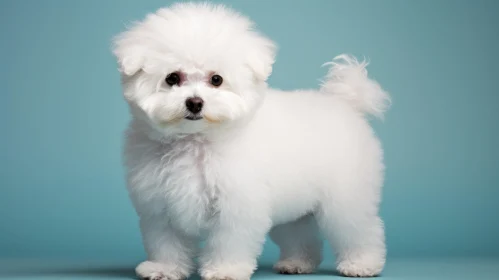Cute White Puppy with Exaggerated Features on a Blue Background