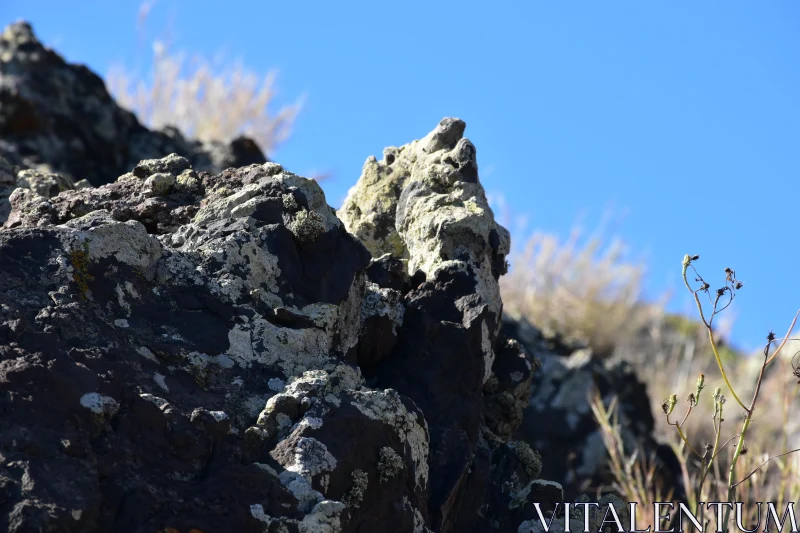 Textured Rock Landscape Free Stock Photo