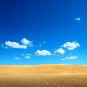 Blue Sky and Field Landscape