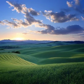 Picturesque Green Fields Landscape at Sunset