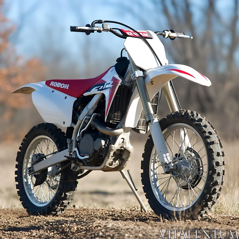 Dirt Bike Ready for Action AI Image