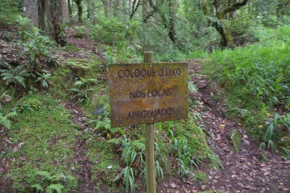 Eco Sign Amidst Green Forest