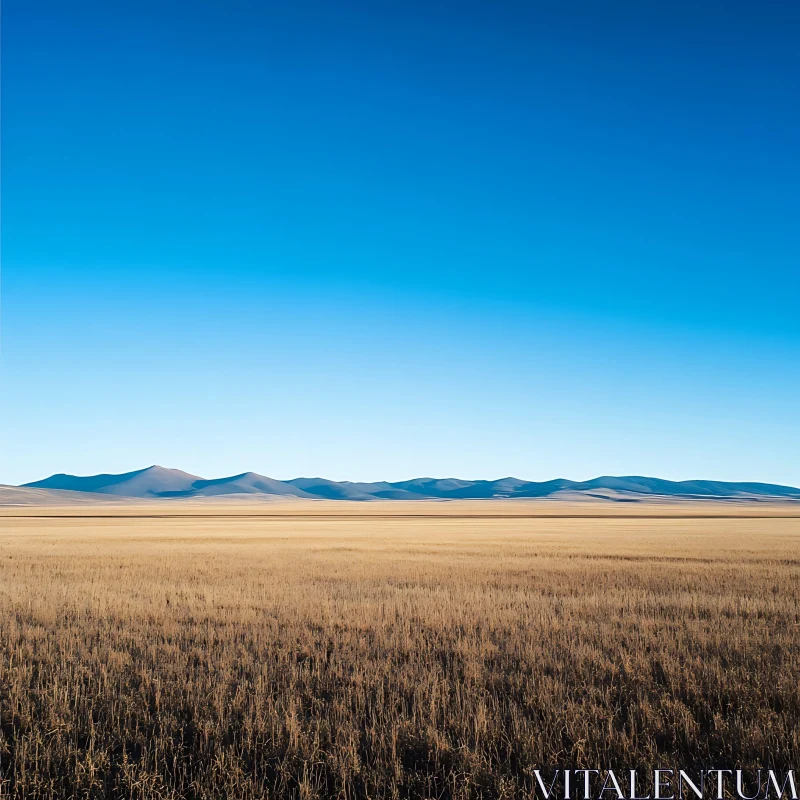 Open Field Landscape with Blue Sky AI Image