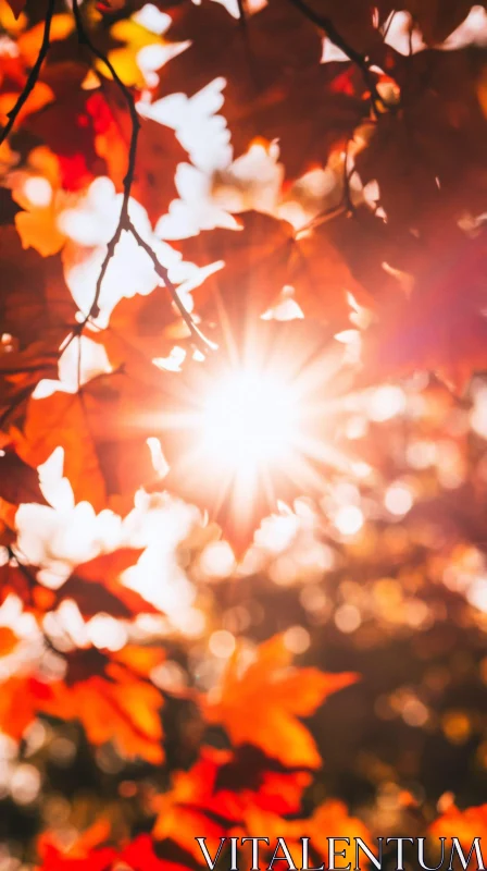 Sunlit Autumn Foliage AI Image