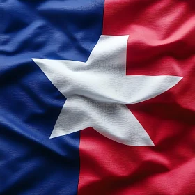 Patriotic Flag with Central White Star