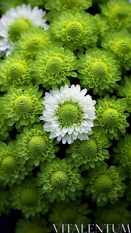 Joyful Celebration of Nature: Green and White Petals AI Image
