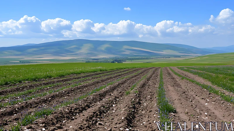 AI ART Cultivated Field Under a Cloudy Sky