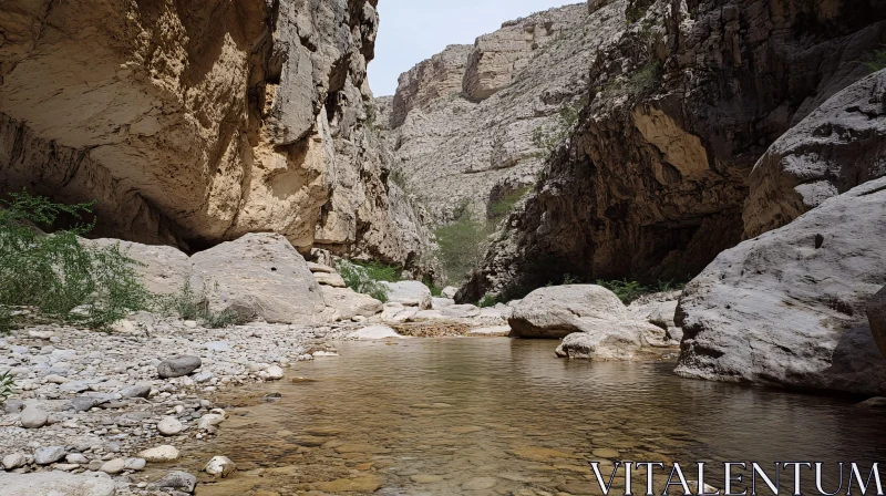 AI ART Scenic Canyon with Flowing Stream