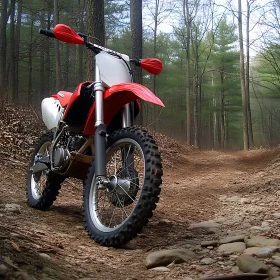 Dirt Bike Adventure in the Woods