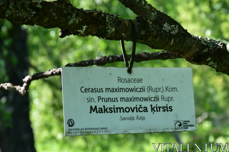 Botanical Sign in Latvian Gardens Free Stock Photo