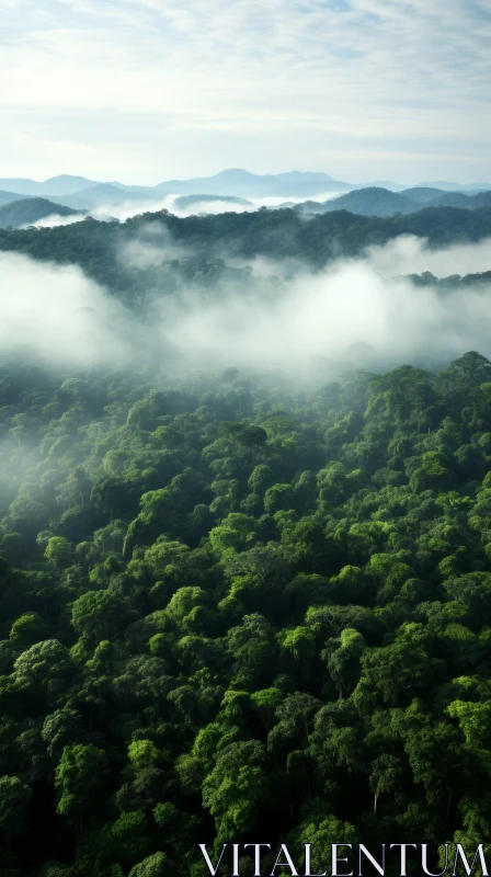 Mystical Forest: A Captivating Aerial View of a Green Wonderland AI Image