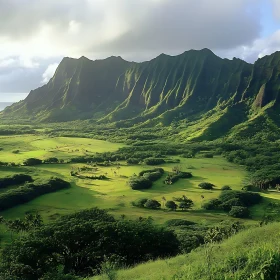 Lush Valley Under Mountain Peaks