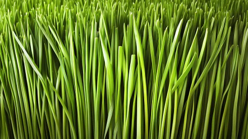 Verdant Grass Blades - Natural Greenery