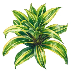 Stripped Leaves Botanical Illustration