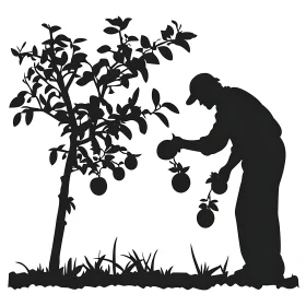 Harvesting Fruit Silhouette