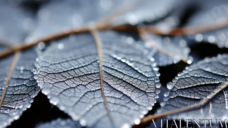 Silver-toned Rainy Leaves: A Study in Nature's Beauty AI Image