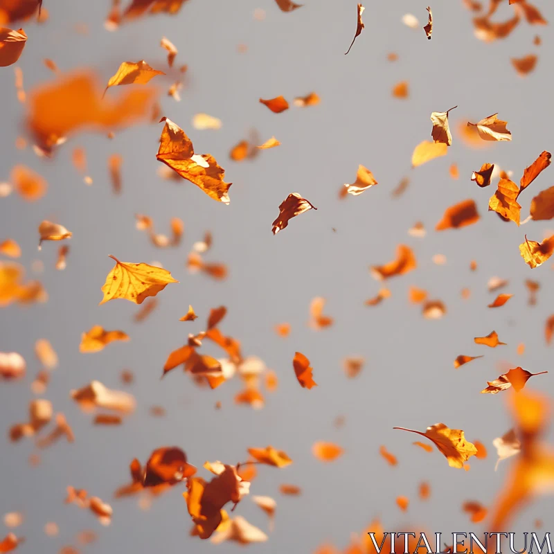 Graceful Fall of Orange Leaves AI Image