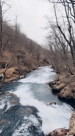 Tranquil River Flowing Through Bare Winter Forest