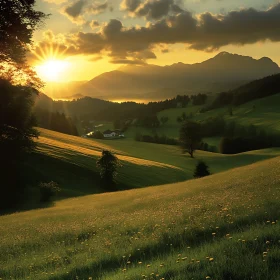 Sunlit Meadow and Distant Mountains