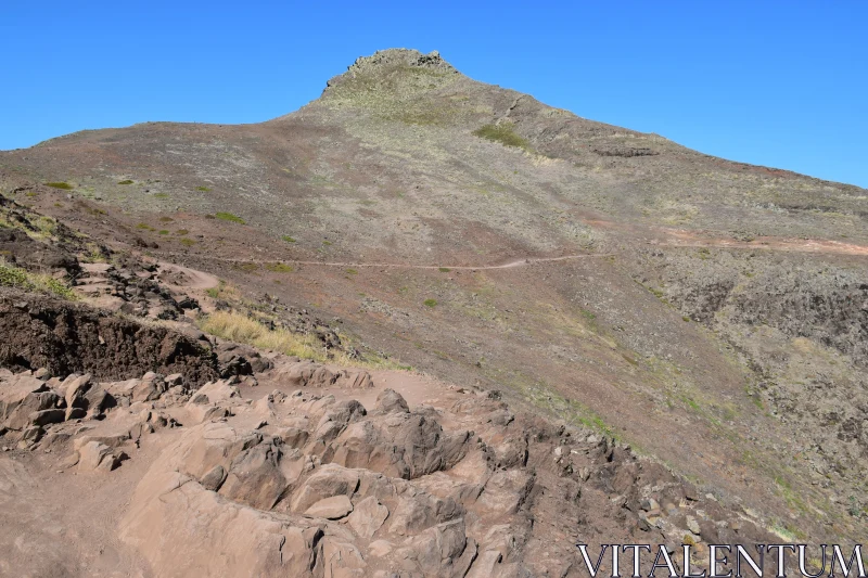 PHOTO Hiking Path in Rocky Mountainscape