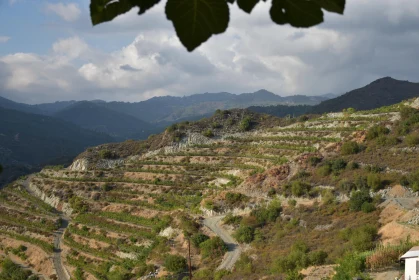 Terraced Fields on a Mountain Slope