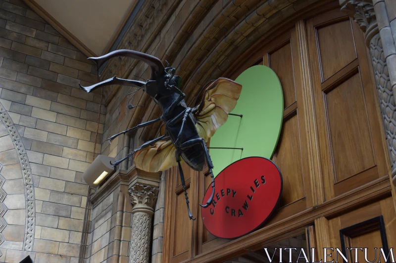 Insect Model in Museum Creepy Crawlies Exhibit Free Stock Photo