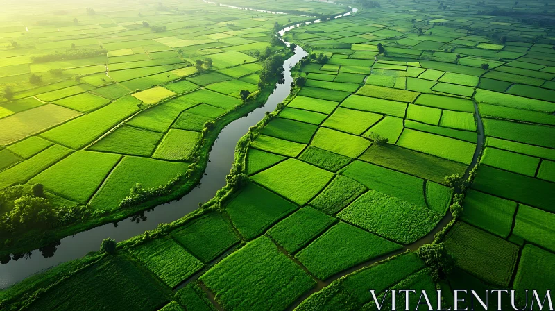 Verdant Rice Terraces from Above AI Image