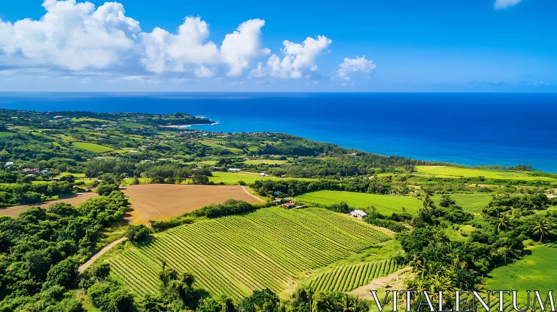 AI ART Lush Fields Meet the Ocean