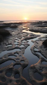 Mesmerizing Rocks Forming on Beach at Dusk - Organic Flowing Forms