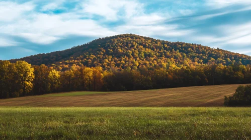 Scenic Mountain View in Autumn Colors