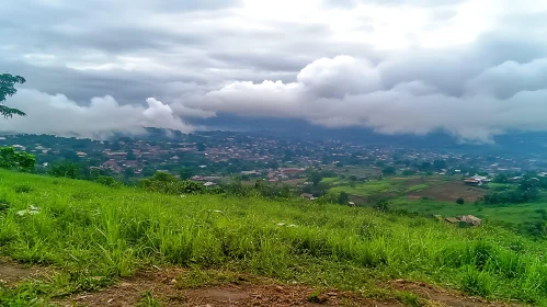 Lush Landscape with Overcast Sky