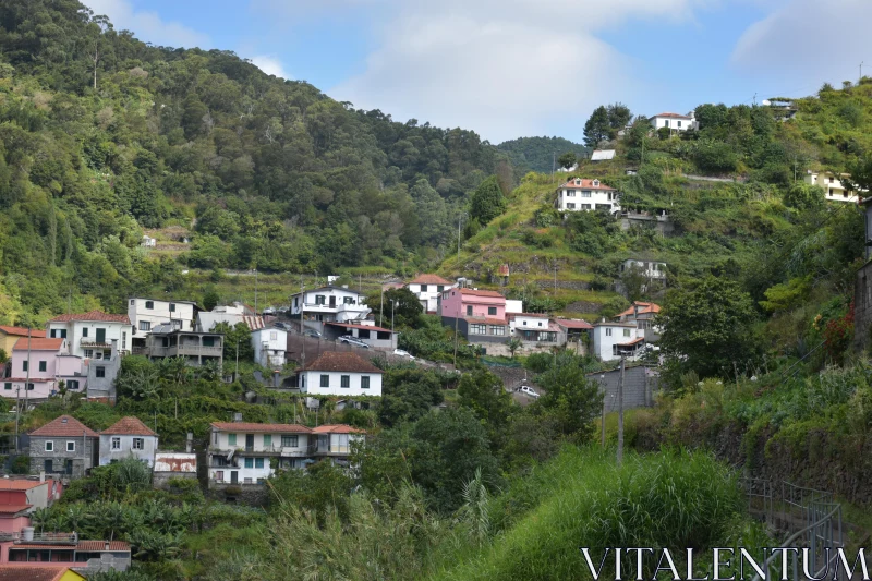 Scenic Madeira Hillside Free Stock Photo